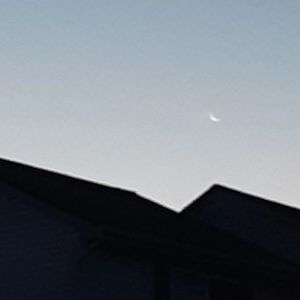 Meet your Posher, Trinity